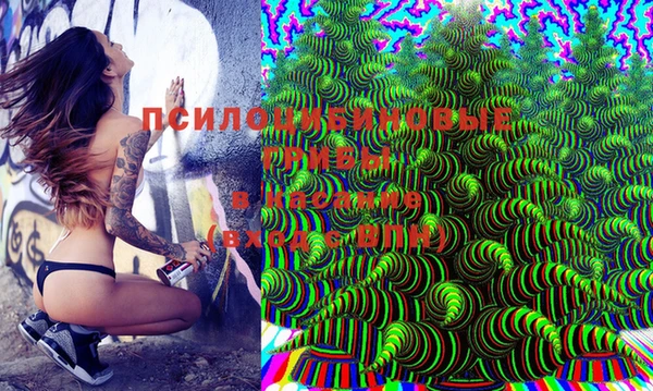 дживик Бугульма