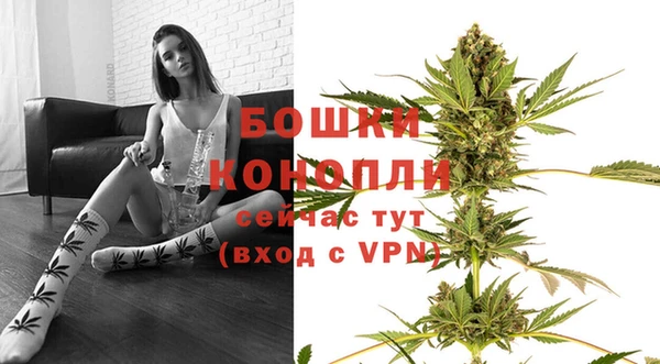 2c-b Бородино