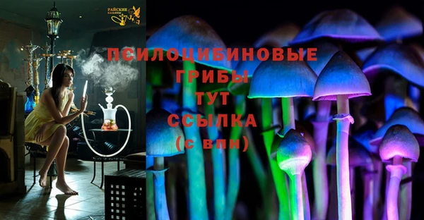 PSILOCYBIN Нягань