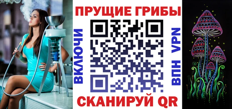 Псилоцибиновые грибы MAGIC MUSHROOMS  Купить закладки  Лермонтов 
